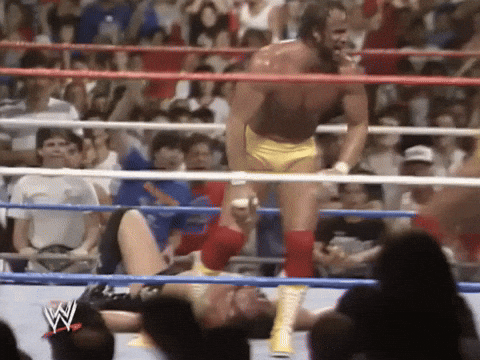 Mega Powers GIFs - Get the best GIF on GIPHY