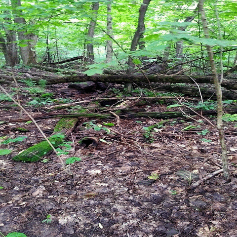 Tepbian_Kord travel nature time earth GIF