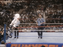 wwe sports wwe wrestling 1988 GIF