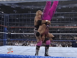 WWE sports wwe wrestling summerslam GIF