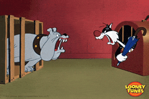 angry fight GIF by Looney Tunes