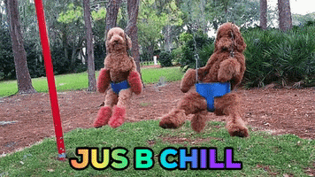 Jus B Chill GIF by Justin