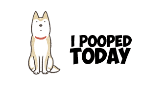 ruffleschip funny dog meme poop GIF