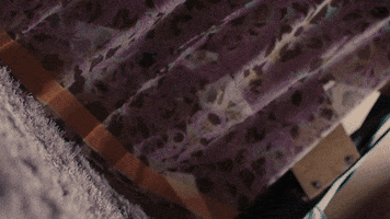 BBC First Australia GIF