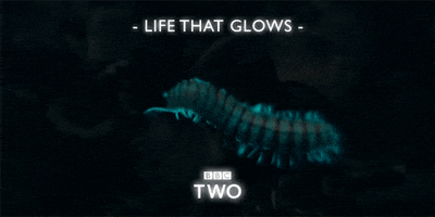 200.gif?cid=fc005b08d4fd0e4c4aa26074fffb4e05c1fe134b587ceb37&rid=200.gif&ct=g