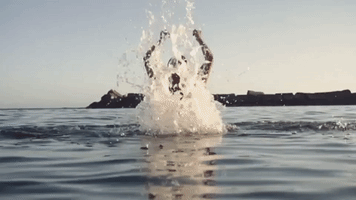 water dive GIF by Best Youth
