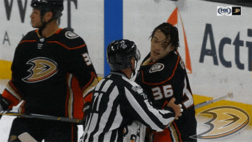 ice hockey fight GIF by Anaheim Ducks