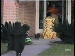 Video gif. Little boy in a Batman Halloween costume approaches a house to trick-or-treat but is turned away by an angry dachshund who chases the terrified boy down the walkway.