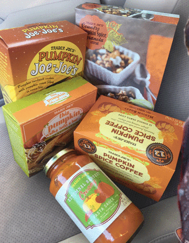 indyindc pumpkin spice mmom mighty men of mouse hobaird GIF