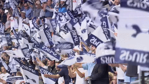 London Football GIF by Tottenham Hotspur - Find & Share on GIPHY