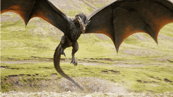 djn_71 dragon gameofthrones drogon viserion GIF