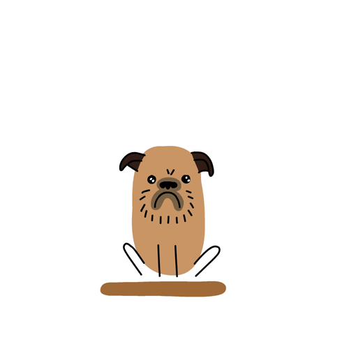 brussels griffon dog GIF by CsaK