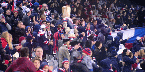 ROOSTERS meme gif