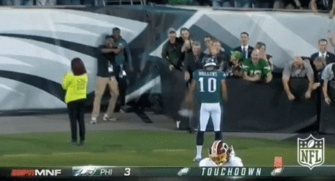 touchdown GIFs - Primo GIF - Latest Animated GIFs