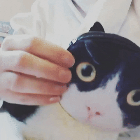Lilebi  GIF