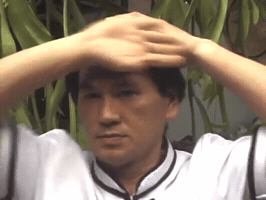 innanefedovskaya  GIF