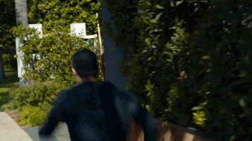 ncis: los angeles nell GIF by CBS