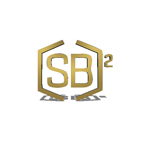 Tech Culture GIF by SB2