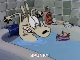 Rockos Modern Life Nicksplat GIF
