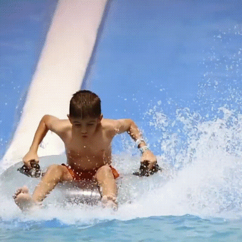 water park parque acuático GIF by Dolphin Discovery