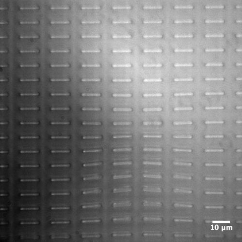 aczewe harvard wyss institute harvard john a. paulson school of engineering and applied sciences GIF