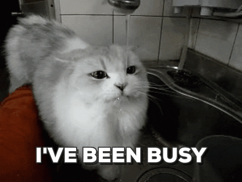 Image result for HAD A VERY BUSY DAY ANIMATED GIF