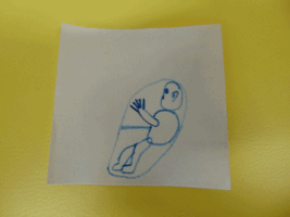 nonstopmotion  GIF