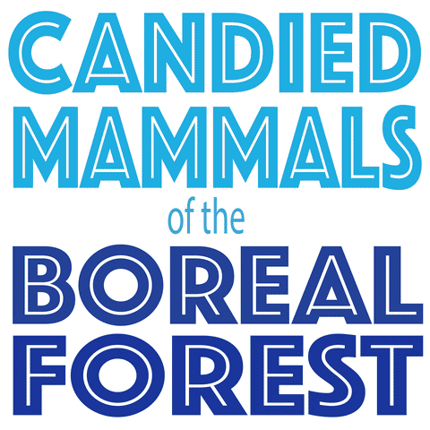 petergraham fine art printmaking mammals boreal forest GIF