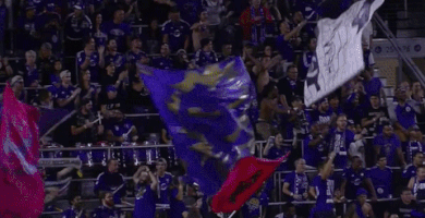 200.gif?cid=fc005b08b08580d5b7caea5489b631a0d15c83457cb12944&rid=200.gif&ct=g