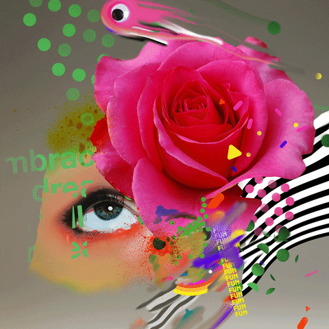 Valentine'S Day Love GIF