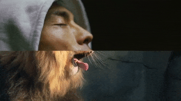 cat power yawn GIF by CASSIUS