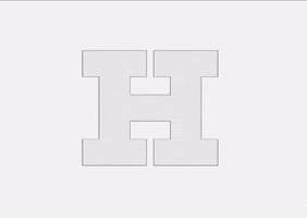 Big H Beer GIF by Harbour Brewing Co.