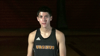 Ursinus Bears GIF