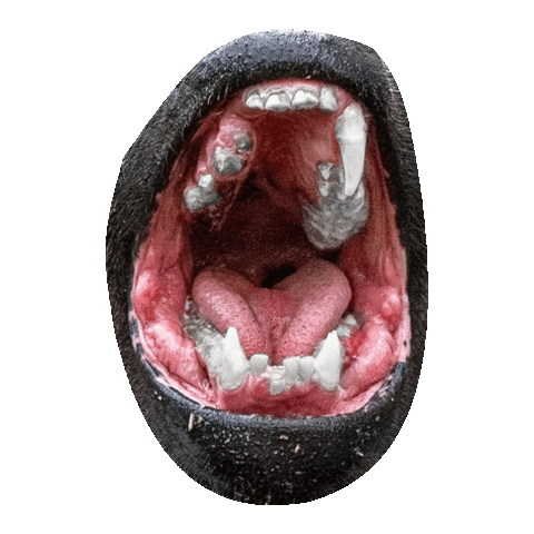 Etiwanted Sticker by ETi Polska