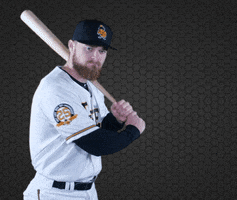Jared Walsh Baseball GIF by Salt Lake Bees