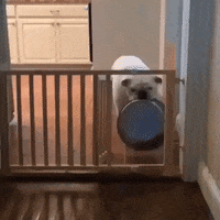 200.gif?cid=fc005b080223748a60fc085d8fcfac05784d0f990ea0d84f&rid=200.gif&ct=g
