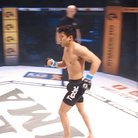Mixed Martial Arts Fighter GIF by We love MMA