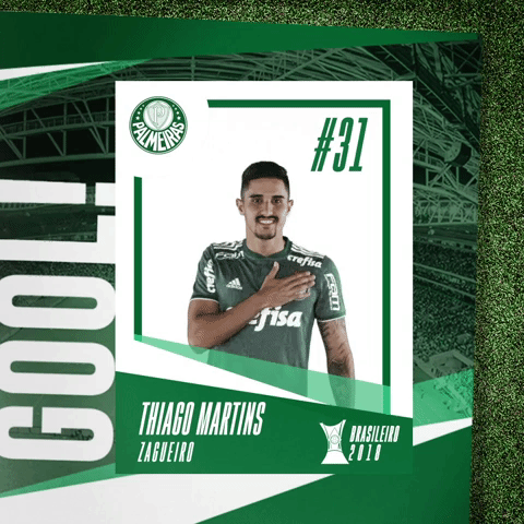 GIF by SE Palmeiras