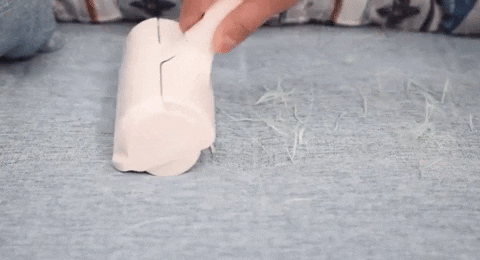 Pethair GIF
