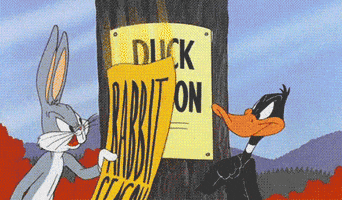brattle "bugs bunny" bugsbunny GIF