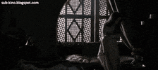 finnfinn  GIF