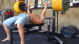 tonypuh  GIF