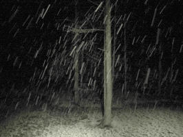 andrewchorney snow GIF