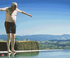 gif-it-or-leave-it blocher gioli christoph blocher GIF