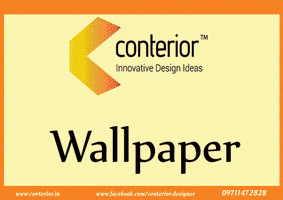 strawberry wallpaper for rooms wallpaper in delhi/ncr GIF