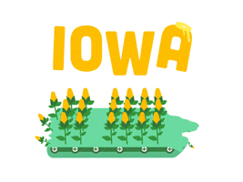 iowa applause GIF by Ethan Barnowsky