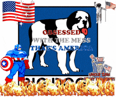 big dogs america GIF by Tyler Menzel, GIPHY Editorial Director