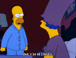 Mad Season 3 GIF by The Simpsons