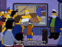 Season 4 GIF by The Simpsons - Find & Share on GIPHY