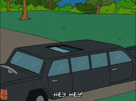 Episode 7 Celebrity GIF by The Simpsons